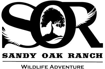 Sandy Oak Ranch Logo