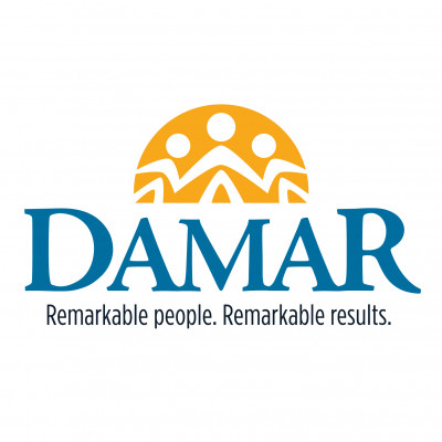 Damar Services Logo